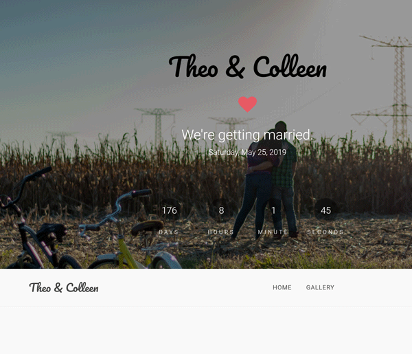 theo and colleen wedding website